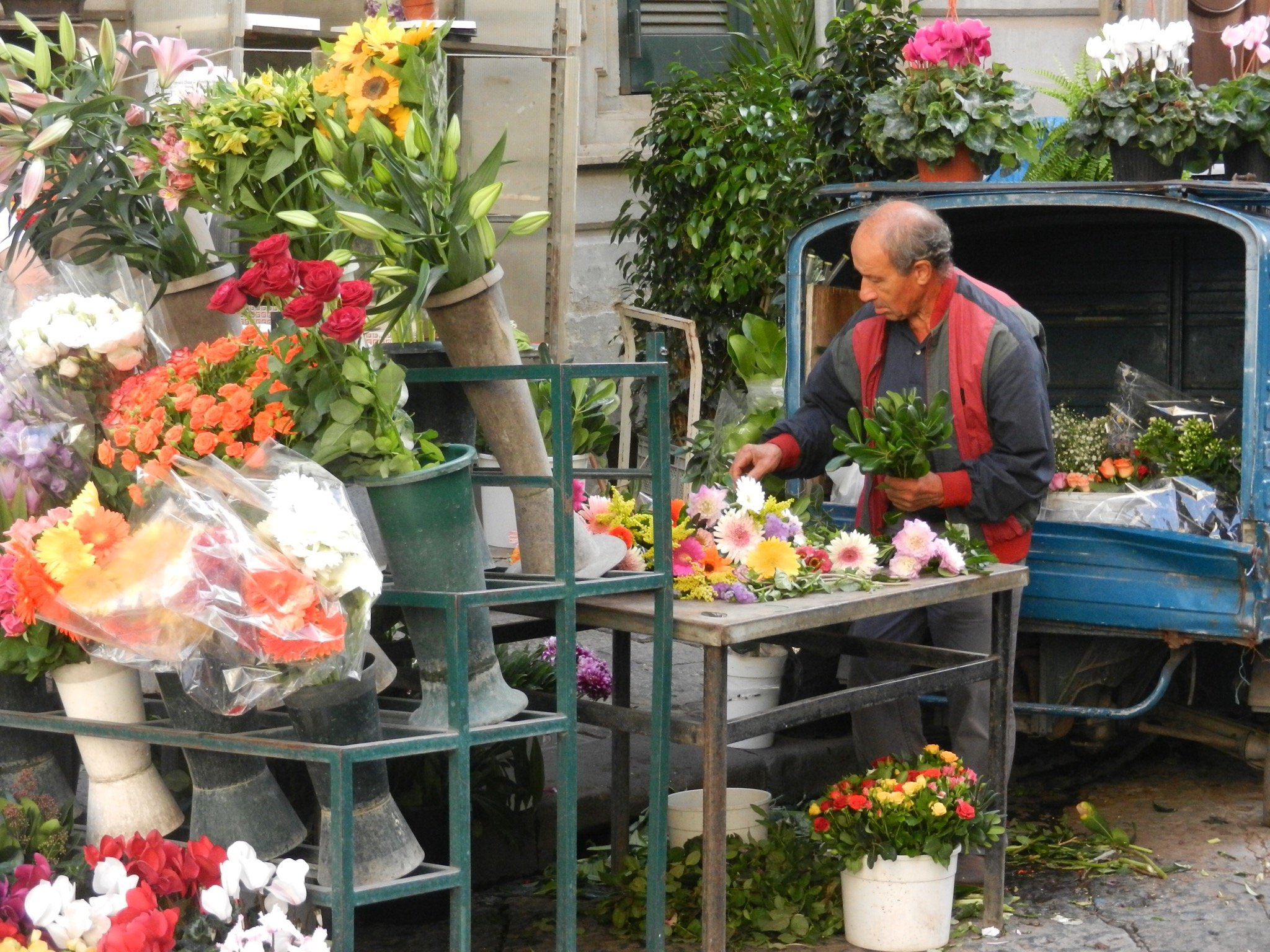 DSCN5113.JPG