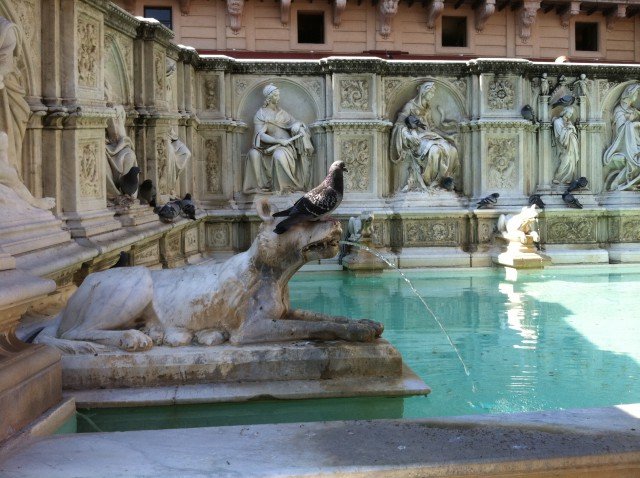 Fonte Gaia in Siena Photo by Margie Miklas