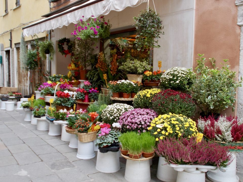 Flower Shop in Venice Italy - Photo by Margie Miklas